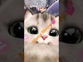 Meow Meow 💕😺#foryou #cat #viralcatvideo #shorts #petmate #meow #meowing #sound #shortsfeed #yt