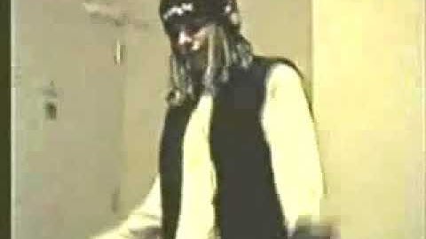 Extroverted sensing auxilary (ISFP)