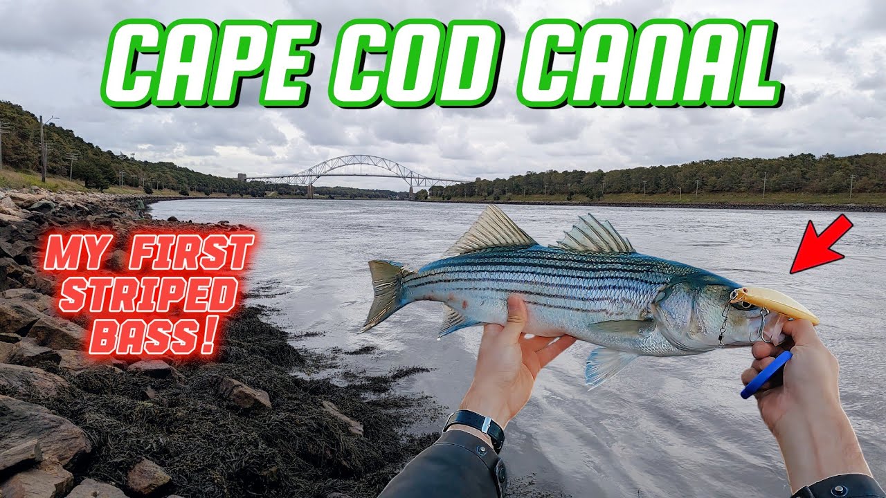 Traveling Angler of Cape Cod: Full Guide - Traveling Angler of Cape Cod