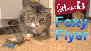 Petlinks Foxy Flyer from Worldwise screenshot 3