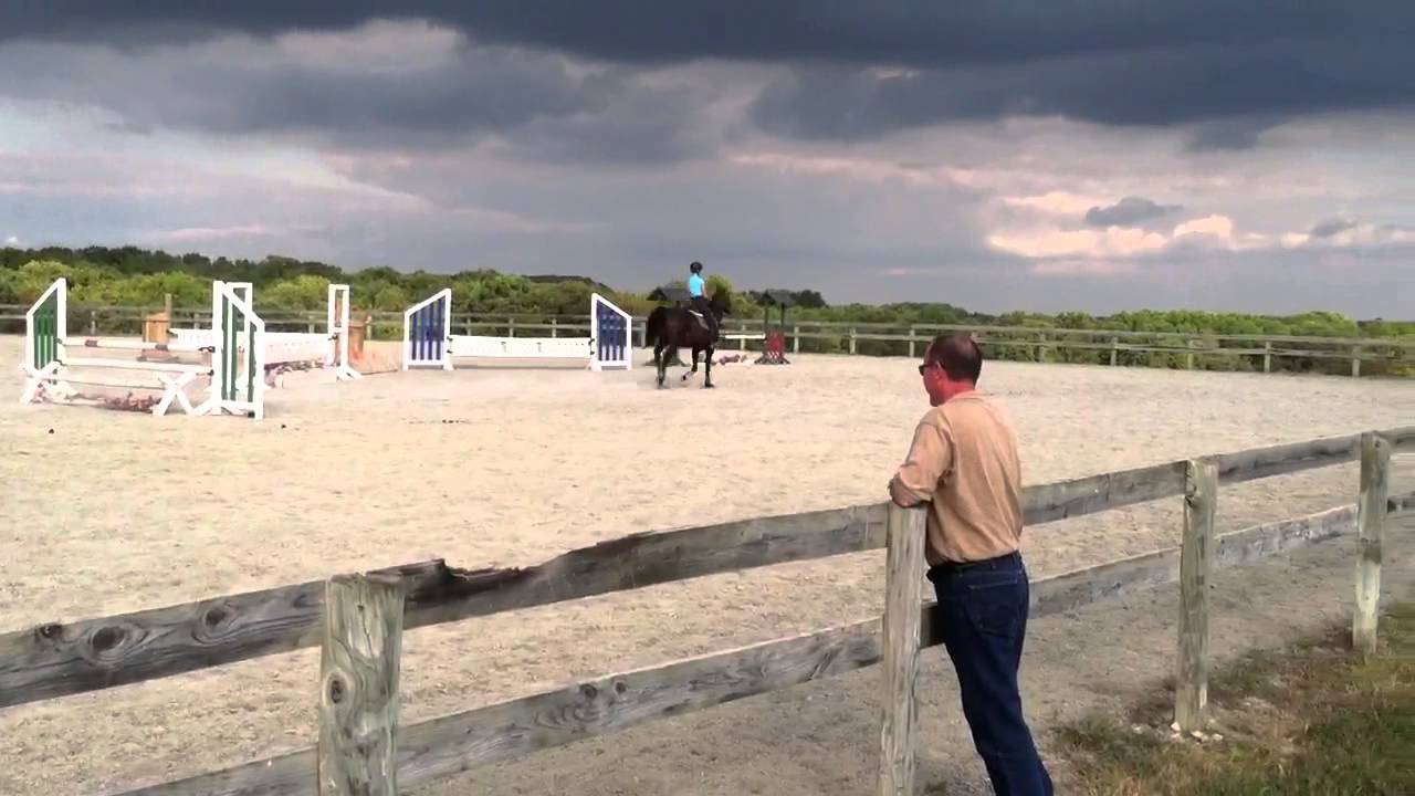 Horse jumping 4 foot YouTube