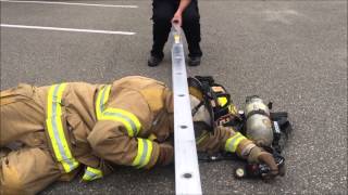 Big Guy vs. Little Ladder