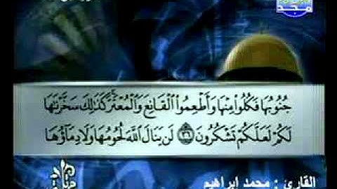 سورة الحج القارئ محمد إبراهيم