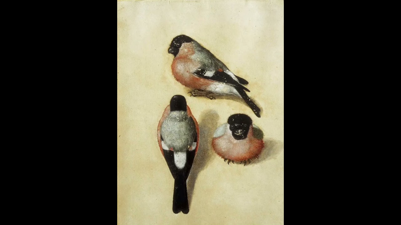 Johannes Bossé - Fantasiestück for piano, improvisation(2025)