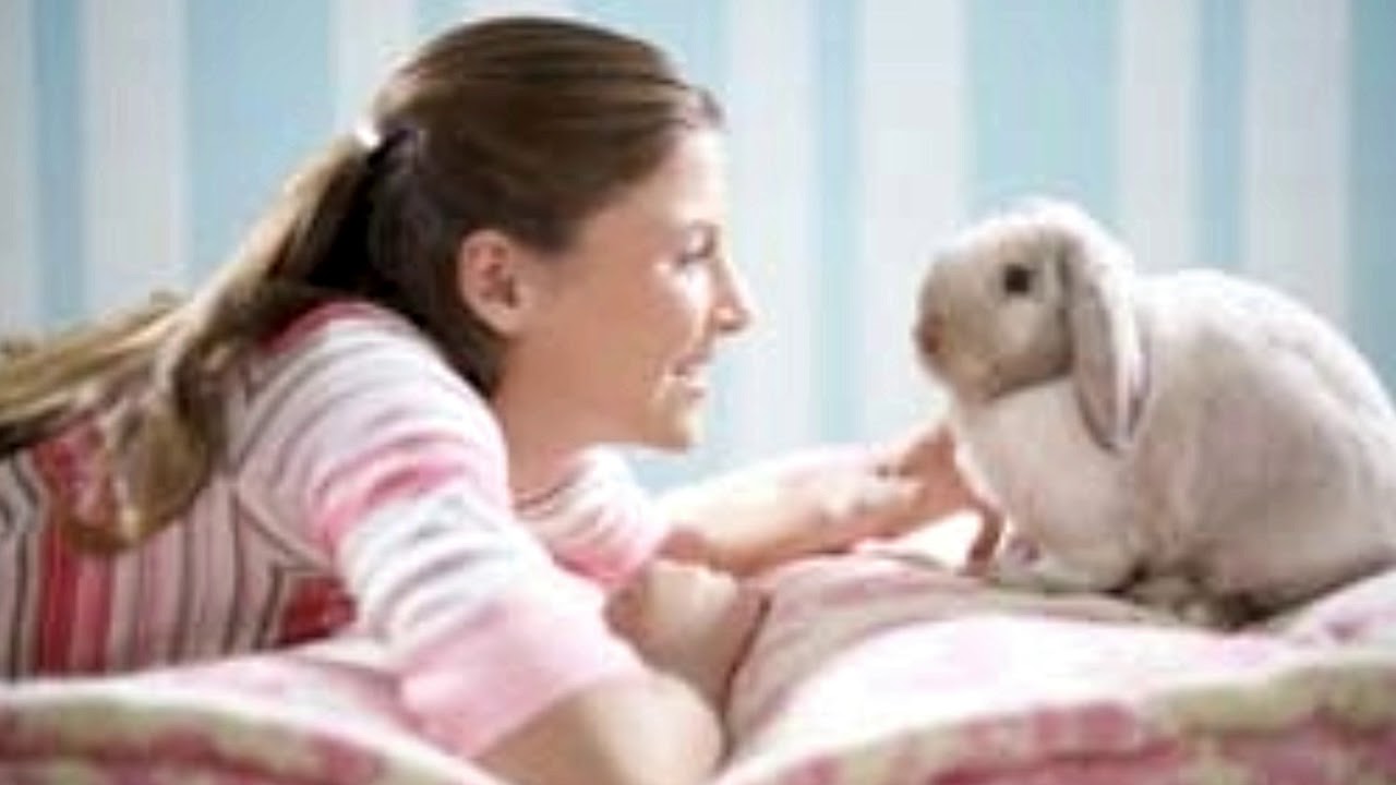 How Long Do Rabbits Live This Might Surprise You - YouTube