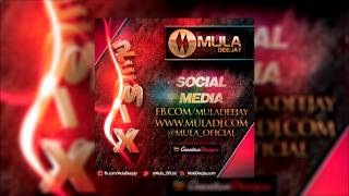 Download Lagu Don Omar Ft. Daddy Yankee - Tírate al Medio (Mula Dj Edit) MP3