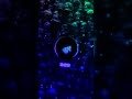 //VOCE NA MIRA JUMPSTYLE\\ #avee_player #phonkagressive #musicclip #musicclip #music #music #echorec