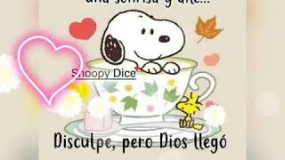 🌼Frases de buenos dias🌹🦋 🌼Frases de buenos dias🌹🦋