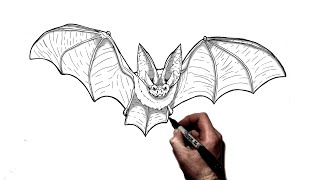 How To Draw A Bat | Step By Step |