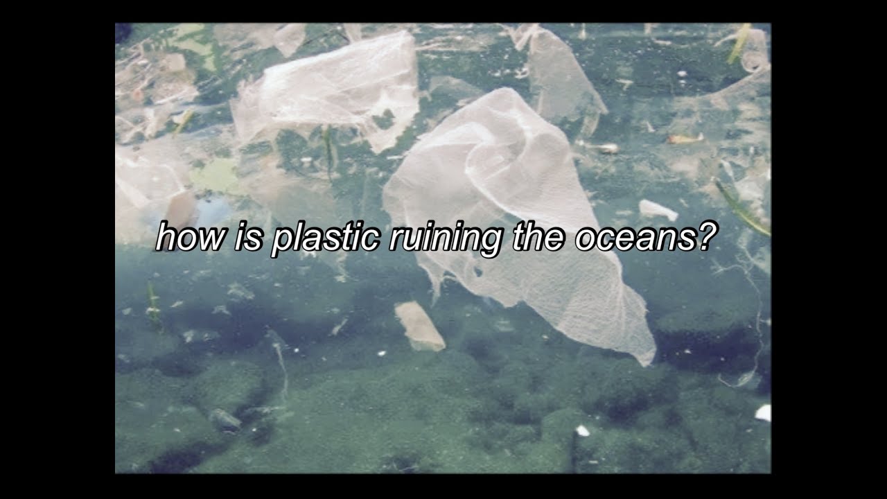 How Is Plastic Ruining The Oceans YouTube