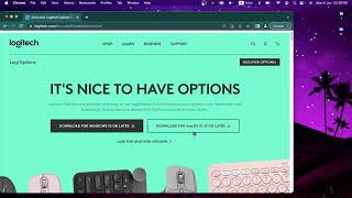 How To Download Driver Logi Options For Logitech Mx Master 3 For Mac screenshot 5