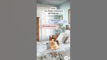 CAT MEMES 🐱You finally understand girl language #catmemes #relatable #relationship