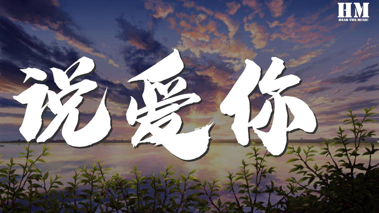 刘至佳 说爱你 铃声版 一开始我只顾着看你 Youtube