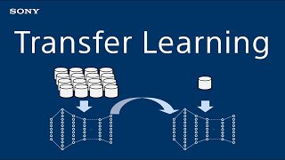 Transfer Learning in Deep Learning - Introduction to Deep Learning