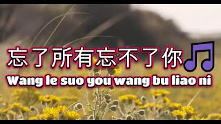 忘了所有忘不了你🎵超好聽🎵好听的老歌🎵Wang le suo you wang bu liao ni