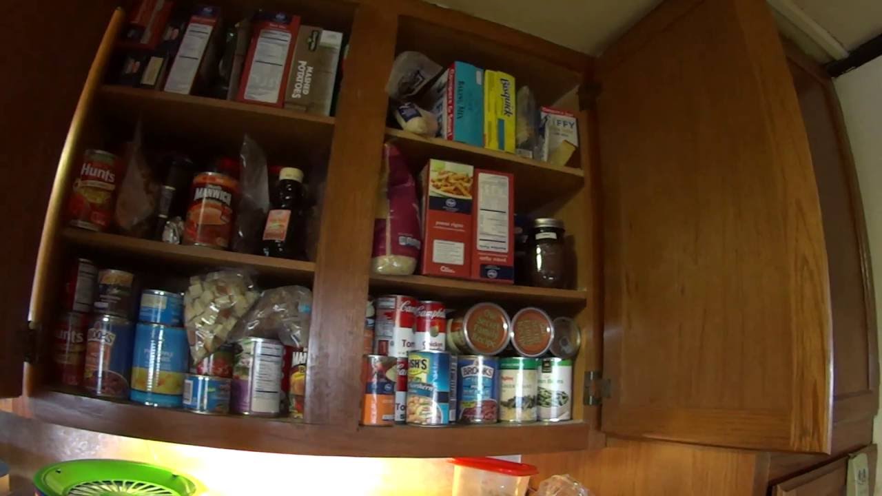 cat lovers club instagram Eating from the pantry challenge. This is one way to save money!