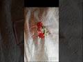 easy flower design tutorial for beginners #shortvideo #embroidery