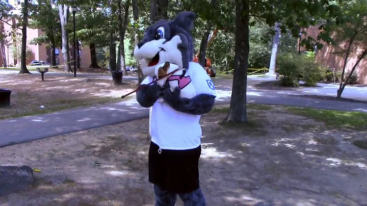 UNH Athletics: Freshmen Move-In Day 2014