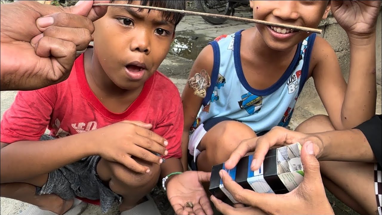 Ubusan ng gagamba laban