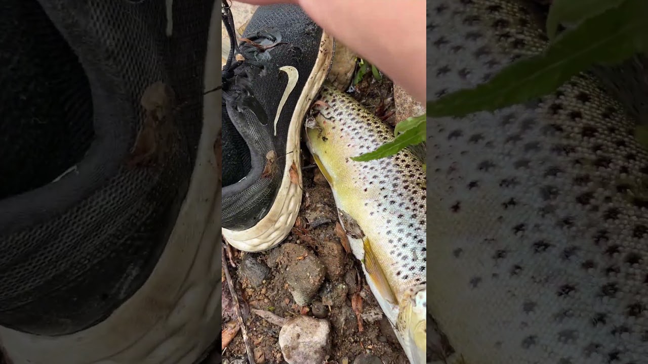 Worst thing to happen while fishing!?!