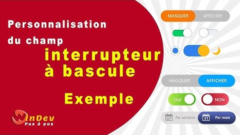 Exemple de personnalisation du champ interrupteur à bascule