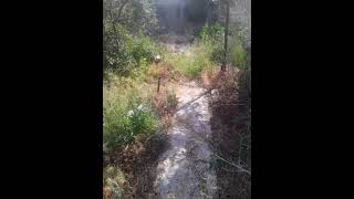 продается дом Казахстан 🇰🇿село Кудряшов