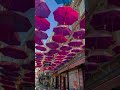 Karaköy Walking Tour | Umbrella Street | Istanbul city 🇹🇷#shorts