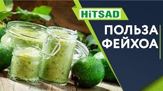 видео: Чем Полезна Фейхоа ✔️ Варенье из Фейхоа ✔️ Советы От Хитсад ТВ картинка: Чем Полезна Фейхоа ✔️ Варенье из Фейхоа ✔️ Советы От Хитсад ТВ