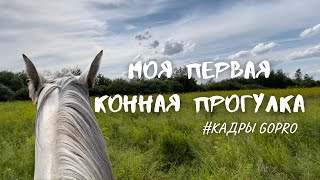 КОНОБЛОГ// Моя ПЕРВАЯ конная прогулка// кадры GoPro