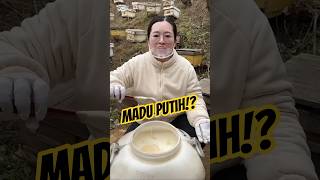 Madu Putih Ini Langka Banget?!