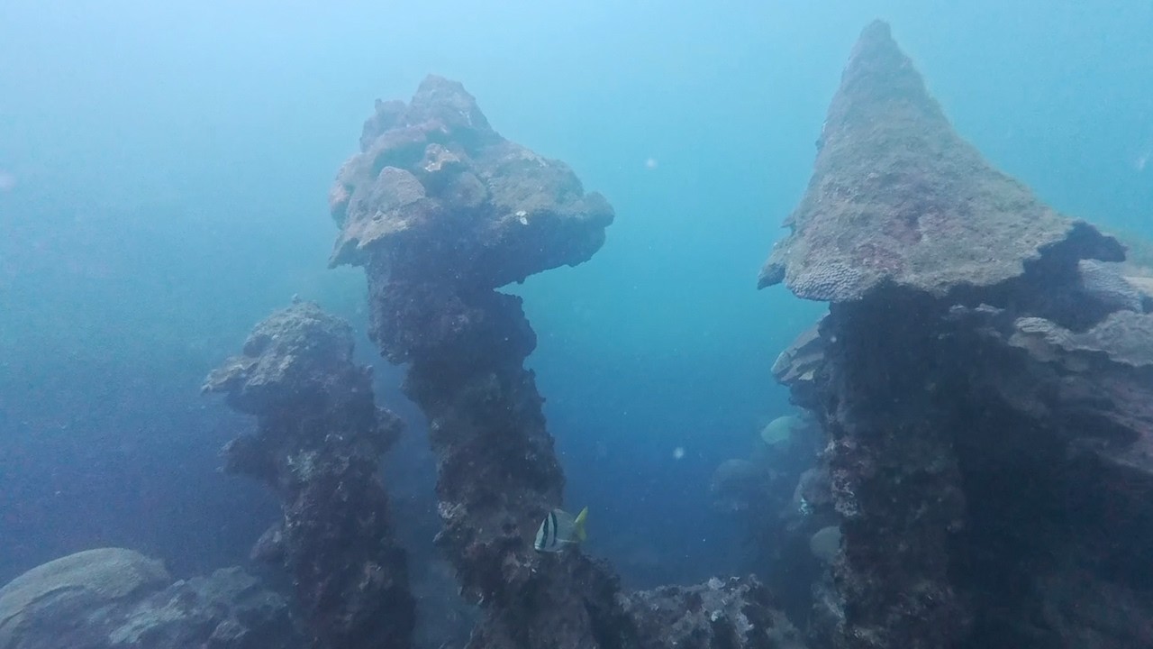 Diving at "Las Catedrales" in Veracruz, Mexico