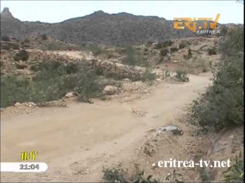 Eritrean news