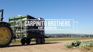 Meet the Carpinito Brothers - Puyallup, Washington