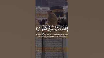 #سورة_النصر #القرآن_الكريم #2023