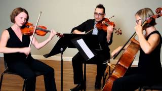 Video thumbnail of "Bridal Chorus by Wagner trio Musical Discovery Chamber Players"