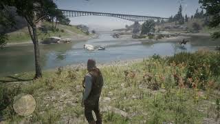 Red Dead Redemption 2 - Screen Space Reflections