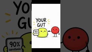 Your gut runs your mood. Brain just takes credit 🧠
