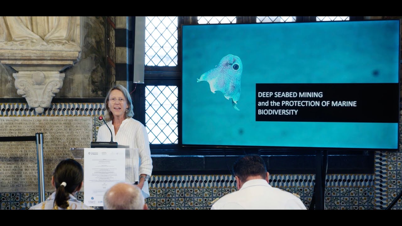 Video 4: Deep Seabed Mining and the Loss of Marine Biodiversity - YouTube