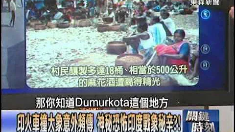 【關鍵時刻2200】印火車撞大象意外頻傳 神祕恐部印度戰象祕辛20130102 - 天天要聞