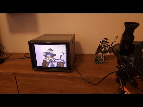Panasonic NV-S88 -