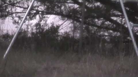 jumping the string vol 1