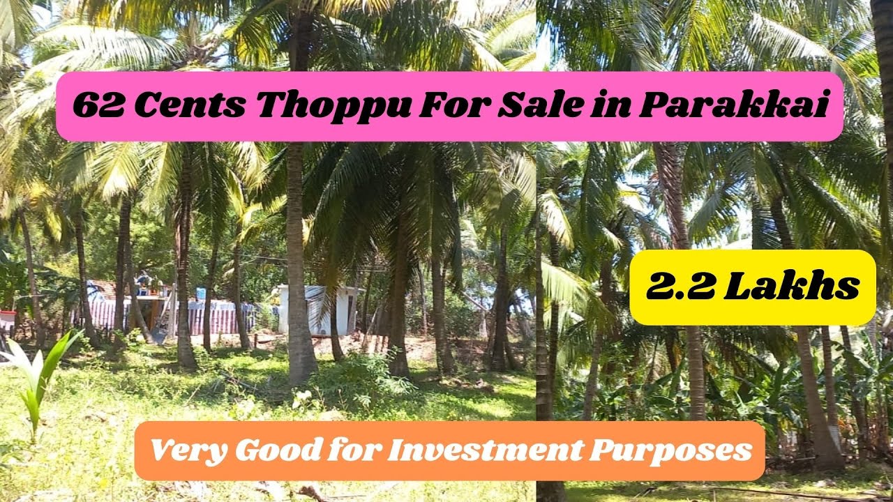62 Cents Thoppu for Sale in Parakkai lotusrealestate nagercoil 
