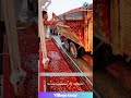 Ketchup Factory's Dream! 🍅 This Tomato Dump is WILD! #tomato #farminglife #satisfyingvideo #ketchup