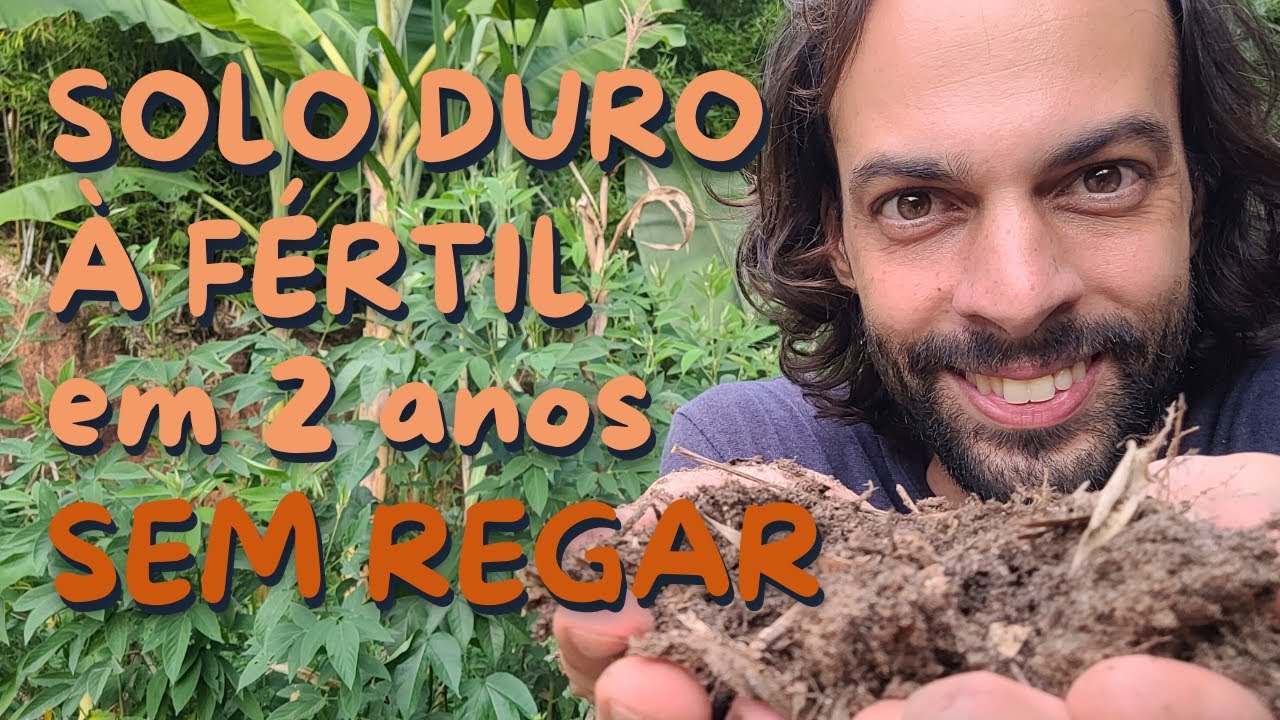 Como Começar uma Agrofloresta (ADUBAÇÃO VERDE)