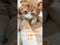 かわいかったらチャンネル登録よろしくお願い致します!
