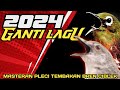 2024 GANTI LAGU 😀 - SATU JAM MASTERAN PLECI GACOR TEMBAKAN BREN CIBLEK - MARKAS TJM - #masteranpleci