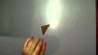 triangle on the move by norma