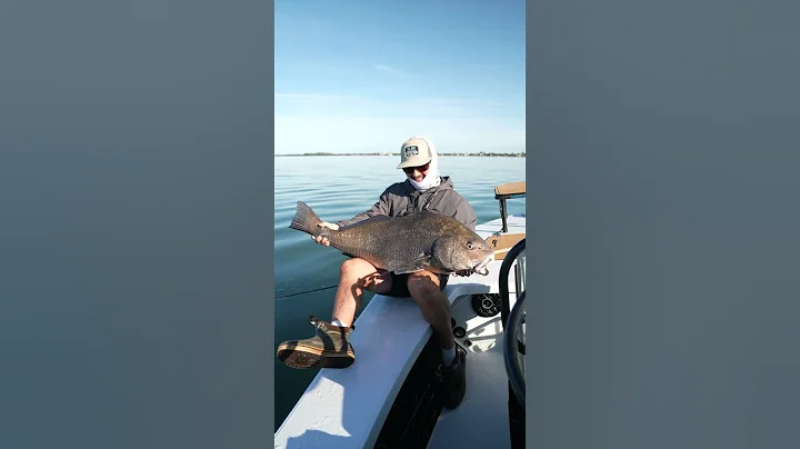 NEW!! NLBN 4" Shrimp w/ Justin Menendez