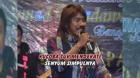 TKW Mr. Black Camelia Musik