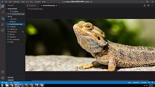 Demo of Deep Classification CLI App